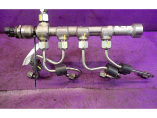 Топливная рампа 55234039, 55234039   Fiat Freemont  