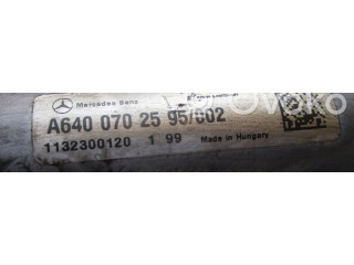 Топливная рампа A6400702595   Mercedes-Benz A W169  