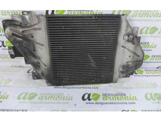 Интеркулер 8200252209 Renault Clio II