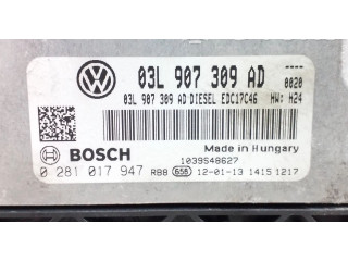Řídící jednotka 03L907309AD Volkswagen Tiguan 2012