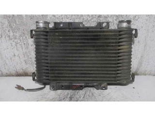 Интеркулер MD158600, 1271000421 Mitsubishi Montero 2.5