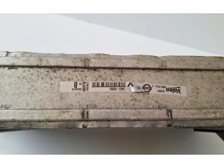 Интеркулер  14461-4EB0A   Renault Kadjar 