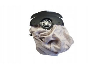 Подушка безопасности водителя 6V0880201P   Skoda Fabia Mk3 (NJ)
