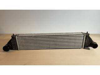 Интеркулер 1530A192 Mitsubishi Outlander 0.0