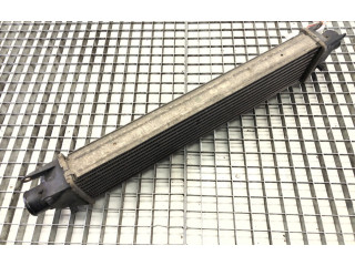 Интеркулер Fiat Linea