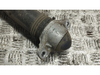 Задний aмортизатор      