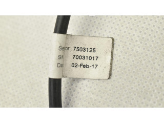 Передний датчик открытия / закрытия двери (крыло) 1037560-00-D Tesla Model X