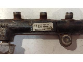 Топливная рампа 9681649580, E668 Ford Galaxy 2.2