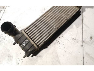 Интеркулер     Citroen C8 