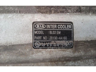 Интеркулер 281904A160, 281904A160 KIA Sorento