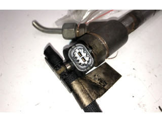 Комплект жиклеров (форсунок) 0445110955   Peugeot Partner III