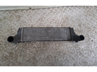 Vstřikovač 2247966, 51224796602 BMW X5 E53