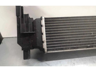 Интеркулер Skoda Rapid (NH)