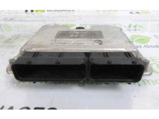 Řídící jednotka 038906019BK, 0281010305 Volkswagen Passat Alltrack 1999