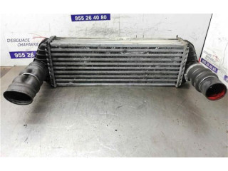 Интеркулер     Ford Transit -  Tourneo Connect 