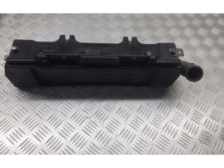 Интеркулер 279714600102 Tata Indica Vista II