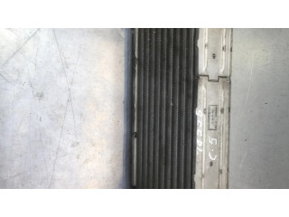 Интеркулер  9650613280, 876941V   Citroen C5 2.2