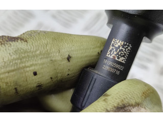 Комплект системы впрыска топлива 9674300080, 9674984080    Ford Kuga II  xrmc 