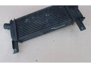 Интеркулер Nissan Pathfinder R51