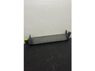 Интеркулер Dacia Logan I