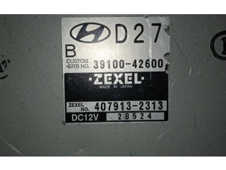 Řídící jednotka 3910042600, 28524   Hyundai H-1 - Starex 2004