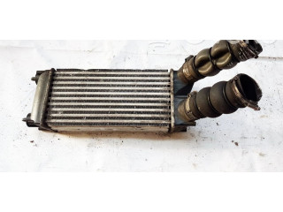 Интеркулер 9656503980, 992507M Nissan Pathfinder R51