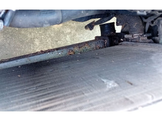 Интеркулер Skoda Rapid (NH)