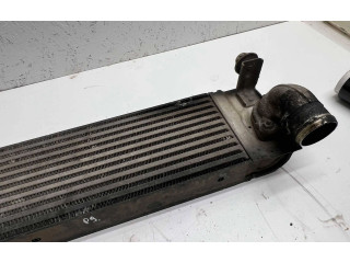 Интеркулер  14461JG70B, P3578001   Nissan X-Trail T31 