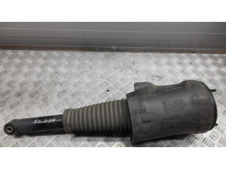 Задний aмортизатор (пневматическое / гидравлическое шасси)