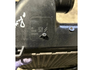 Интеркулер 9809141780, 96T9STW Citroen Berlingo