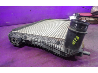 Радиатор интеркулера 1K0145803BM, 1K0145803BM   Skoda Yeti (5L)       