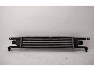 Интеркулер 55700449, 199A3000 Fiat Grande Punto