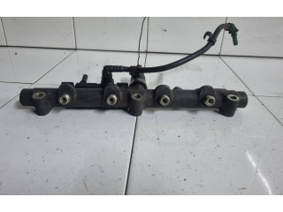 Vstřikovací lišta 0445214017, 010855L1 Peugeot 607