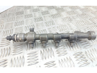 Vstřikovací lišta 55576177, 55573364 Opel Zafira C A 20 DTH