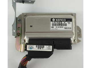 Řídící jednotka 3911002426 Hyundai Getz 2005