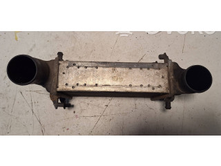 Интеркулер  1402007, 058145805A   Volkswagen PASSAT B5.5 