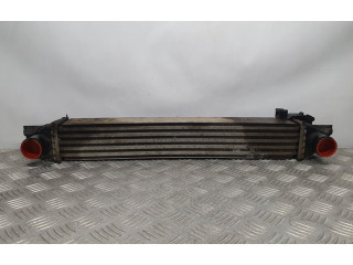 Интеркулер  51790623, BEHR   Citroen Nemo 