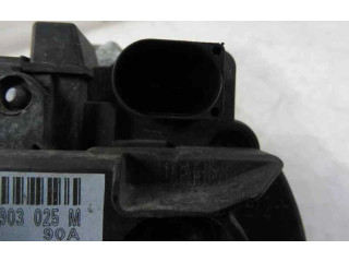Генератор 037903025M, 124325013   Volkswagen Polo IV 9N3      