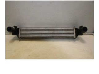 Интеркулер 53432280 Jeep Compass