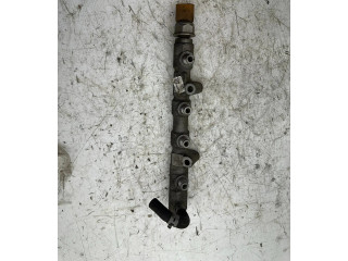 Топливная рампа R03P125 Skoda Fabia Mk2 (5J)