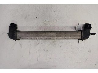 Интеркулер Mini Paceman (R61) 2.0