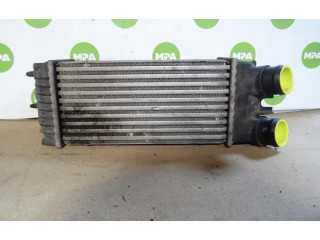 Интеркулер Citroen Berlingo