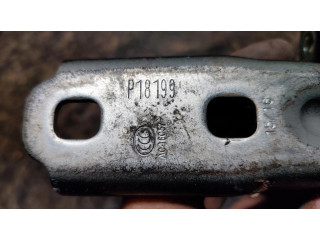 Задняя нижняя петля