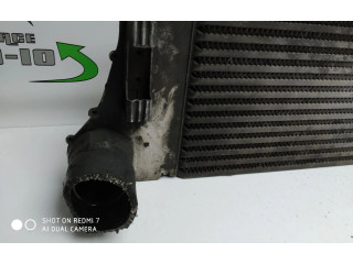 Масляный насос     Renault Scenic II -  Grand scenic II 