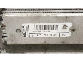 Интеркулер 2515000000, 1645001900 Mercedes-Benz R W251 3.0