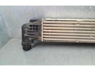 Интеркулер 8200880552, IA2002 Dacia Duster