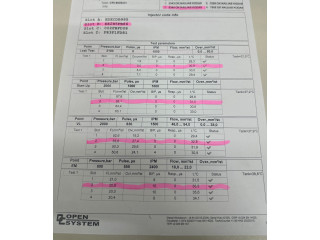 Форсунка 0445110955, 9828959880    Peugeot 2008 I   