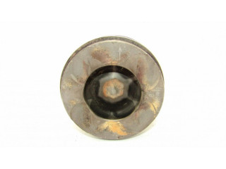 Píst 06933 Fiat Doblo pro naftový motor 1.3 199A3000