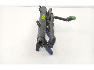 Форсунка 1984C6, 0280155794    Peugeot 306  G-NFZ 