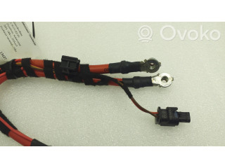 Плюсовый провод (аккумулятора)